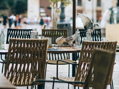 silla de cuerda al aire libre